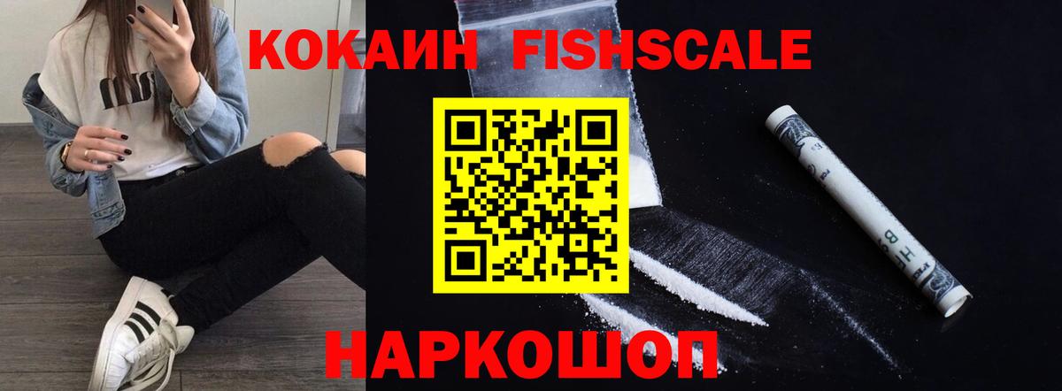 Cocaine Fish Scale Зима