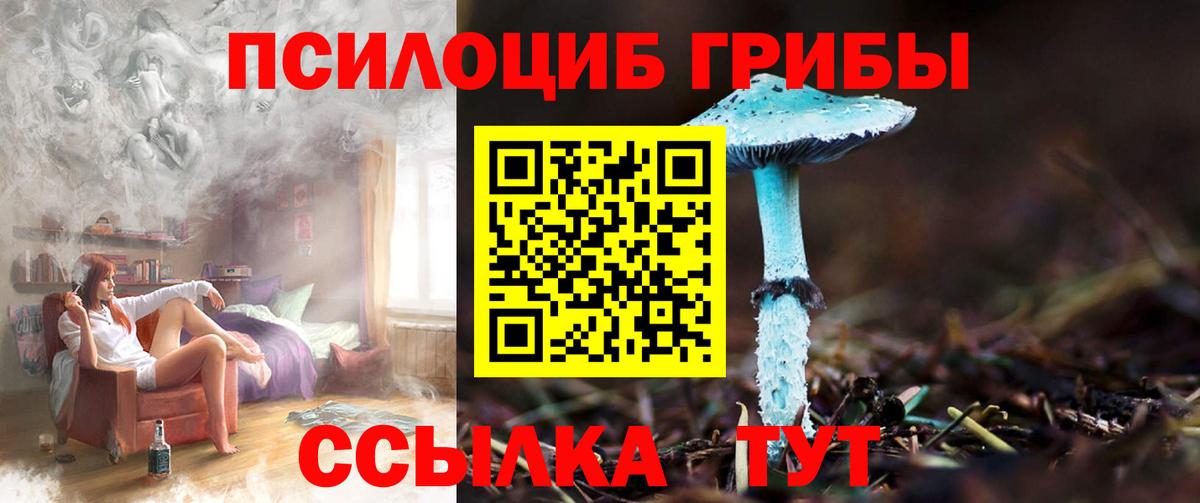 Зима  Галлюциногенные грибы мухоморы  Вход с VPN 
