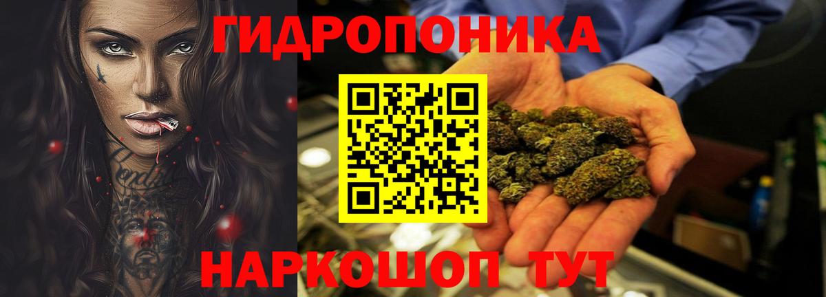 Бошки марихуана гибрид  Вход с VPN  МАРИХУАНА White Widow  Зима  Канабис план 